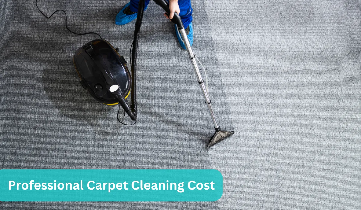 Professional carpet cleaner using steam cleaning equipment