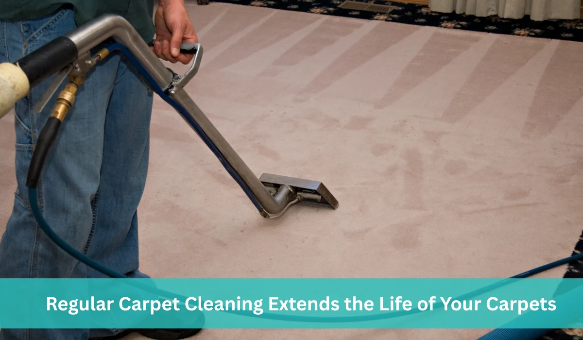 Carpet Cleaning for Extensions Carpet Lifespan and Quality