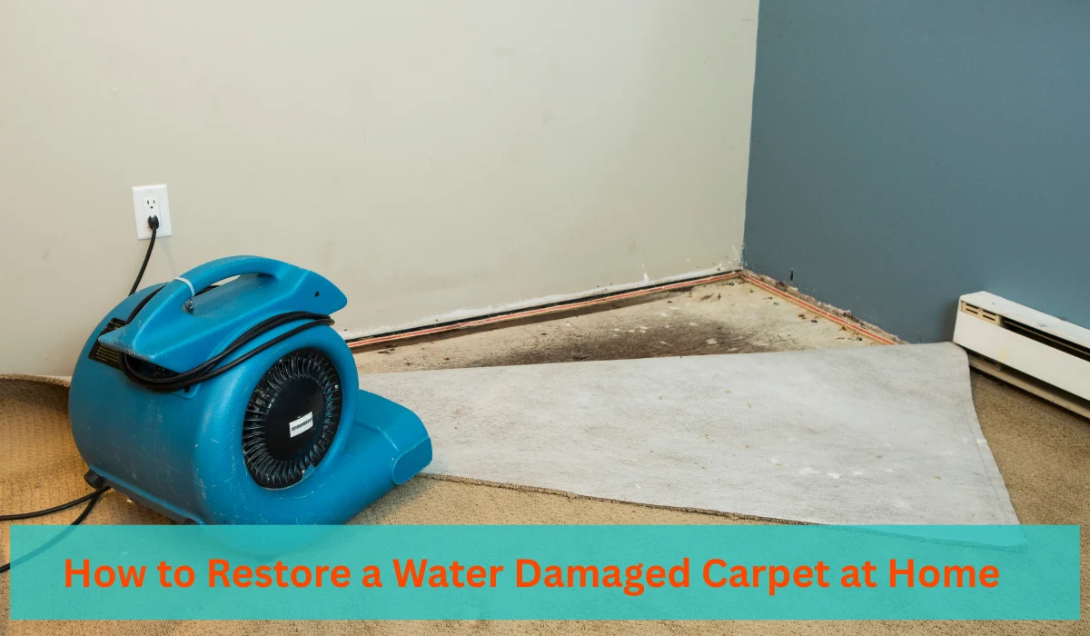 Restoring a water damaged carpet at home